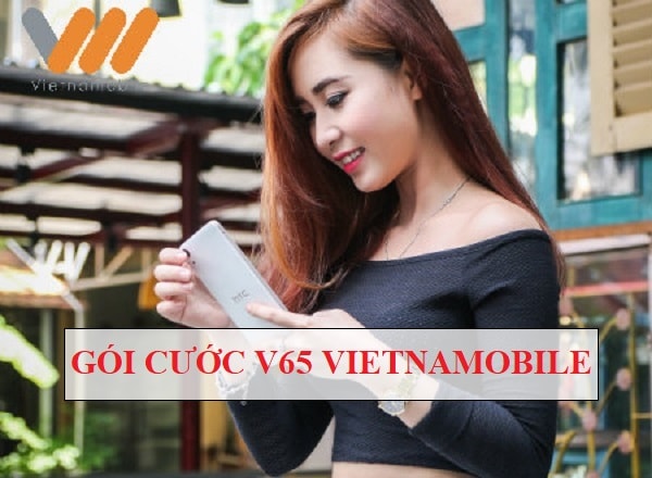 Cách đăng ký gói V65 Vietnamobile